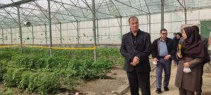 حمایت از شرکت‌های دانش‌بنیان، راهبرد جدی وزارت جهاد کشاورزی برای قطع وابستگی به واردات