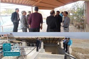 احیای مراکز غیرفعال پرورش ماهی در چناران