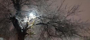 سکوتِ آسمان شکست و معجزه‌ای سفید، در چناران آغاز شد