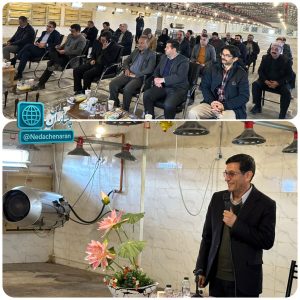 افزایش ۵ درصدی تولید گوشت سفید در خراسان رضوی 